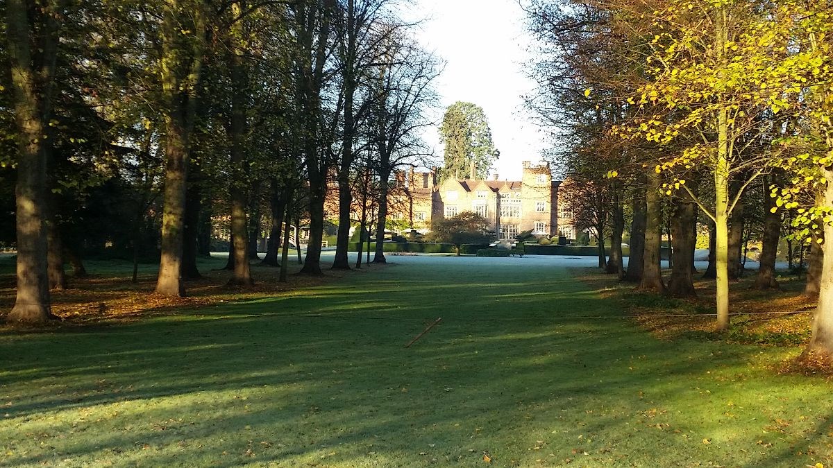 The Lime Avenue