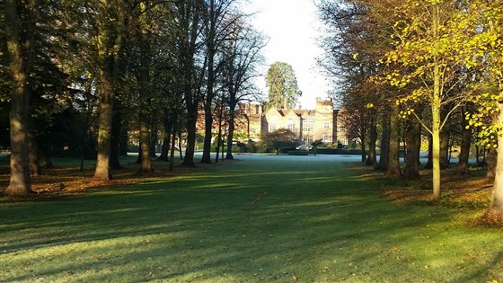 The Lime Avenue
