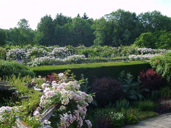View over the the Tithe Barn Terrace and Rose Garden