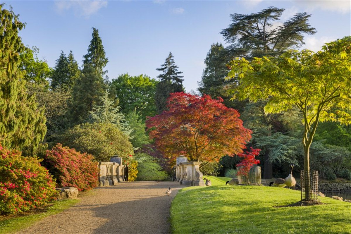 Sheffield Park, East Sussex <span style='font-size:8px;'>®National Trust Images/Andrew Butler</span>