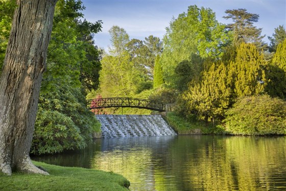 Sheffield Park, East Sussex <span style='font-size:8px;'>®National Trust Images/Andrew Butler</span>