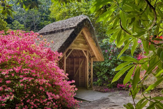 Sheffield Park, East Sussex <span style='font-size:8px;'>®National Trust Images/Andrew Butler</span>