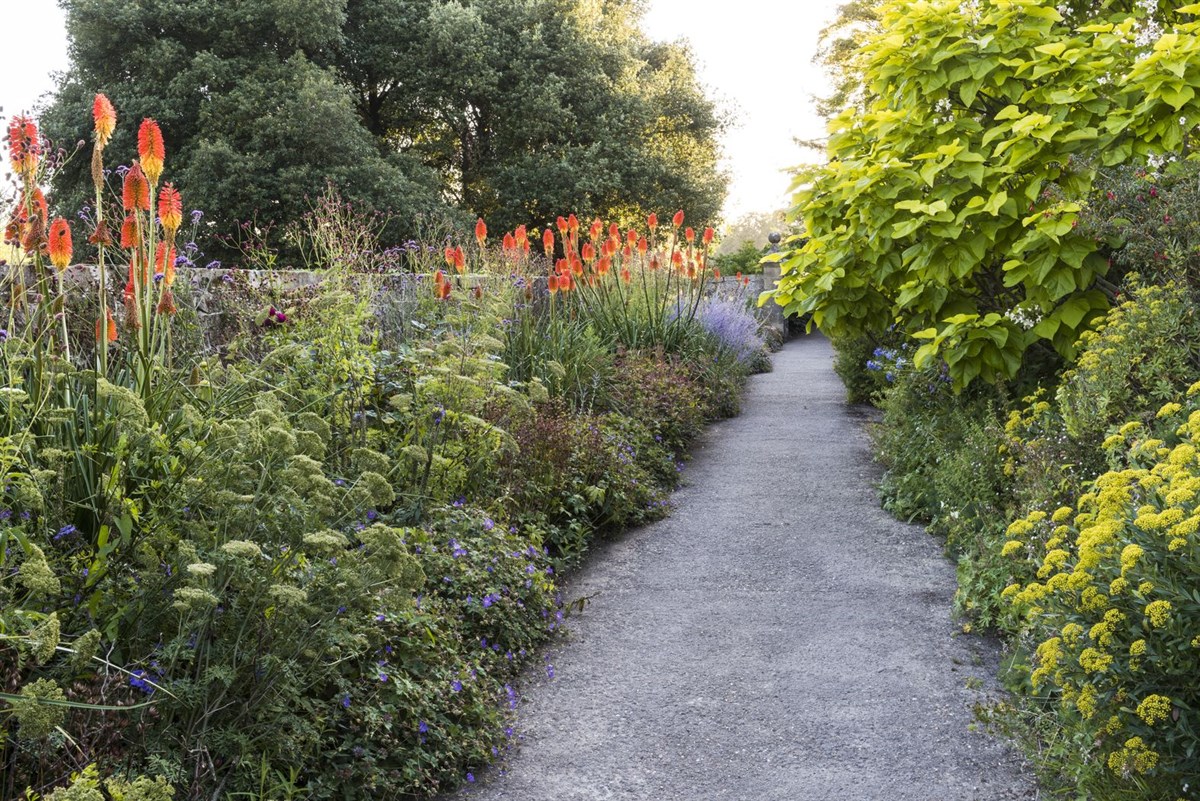 Paradise Walk
