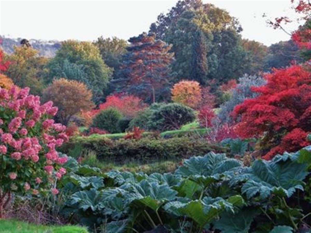 Looking down the garden in September