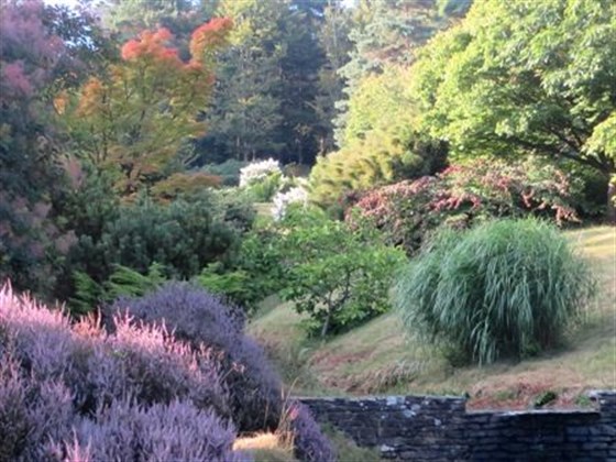 The leaves are just starting to change colour