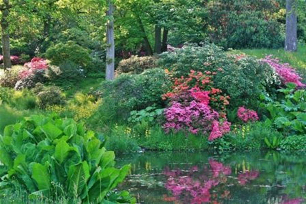 Centre Pond in May