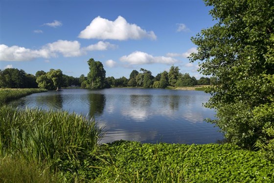 Petworth House and Park, West Sussex ┬®National Trust Images/John Millar
