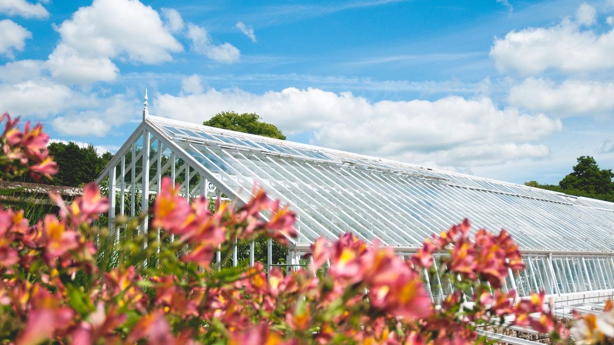 13 Victorian Glasshouses at West Dean Gardens
