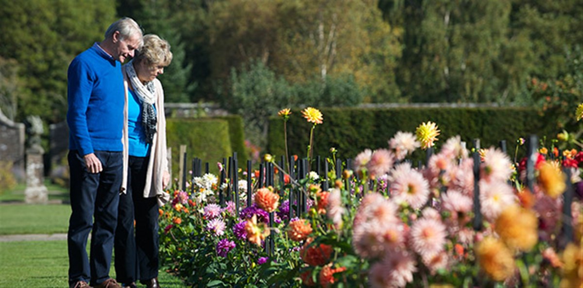 Culzean Castle, Gardens <span style='font-size:8px;'> ® The National Trust for Scotland </span>