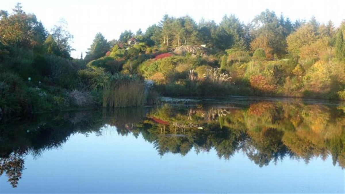 Beautiful Glenwhan Gardens