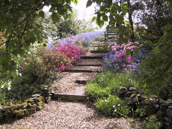 garden view