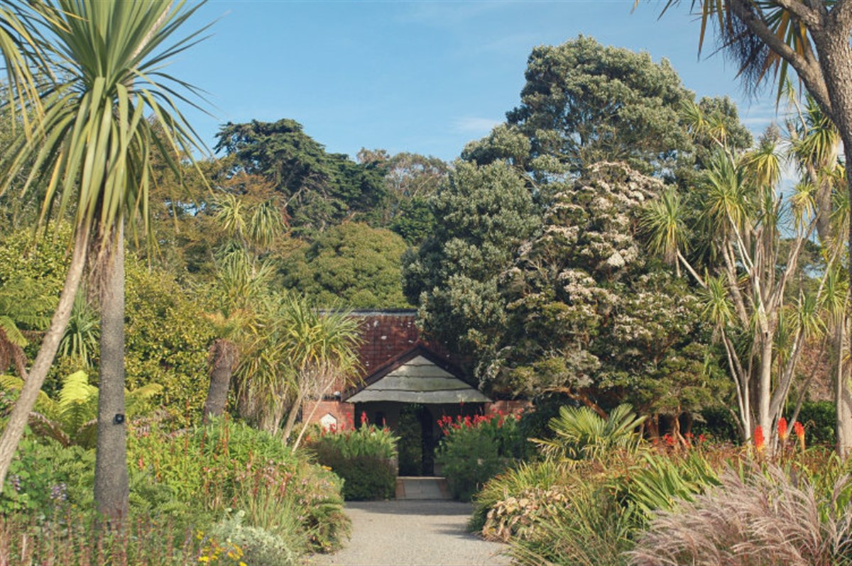 Stunning Botanical Gardens at Logan Botanic Garden