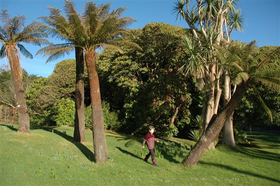 a Wonderful day out at Logan Botanic Garden