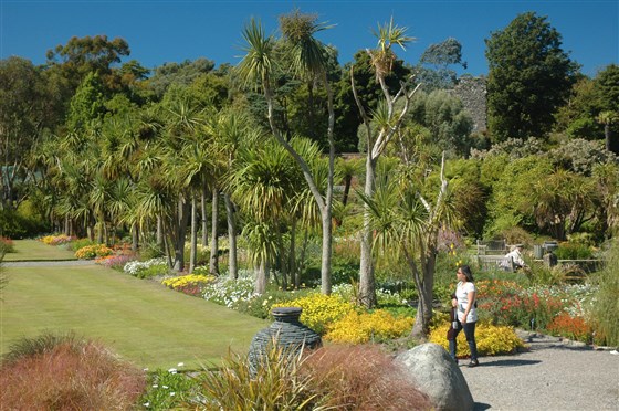 Exotic plants at Logan Botanic Garden