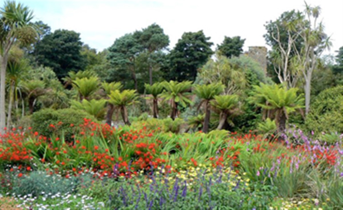 Logan Botanic Garden