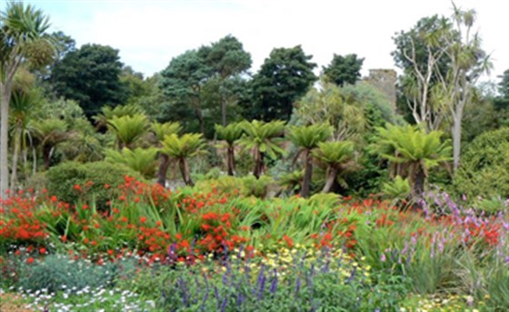 Logan Botanic Garden