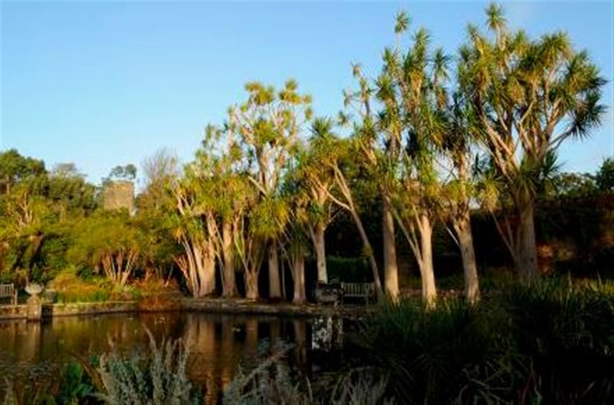 Logan Botanic Garden,
