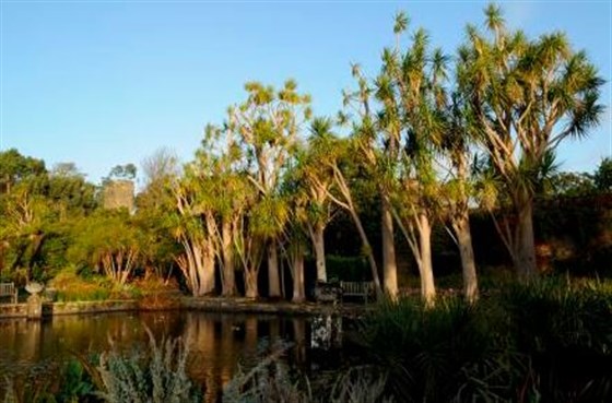 Logan Botanic Garden,
