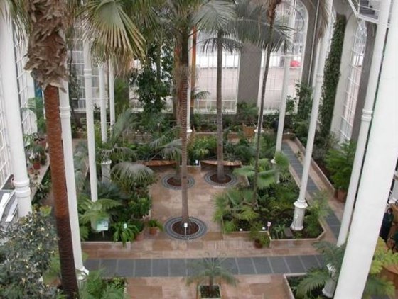 The Temperate Palm House Images courtesy of Royal Botanic Garden Edinburgh