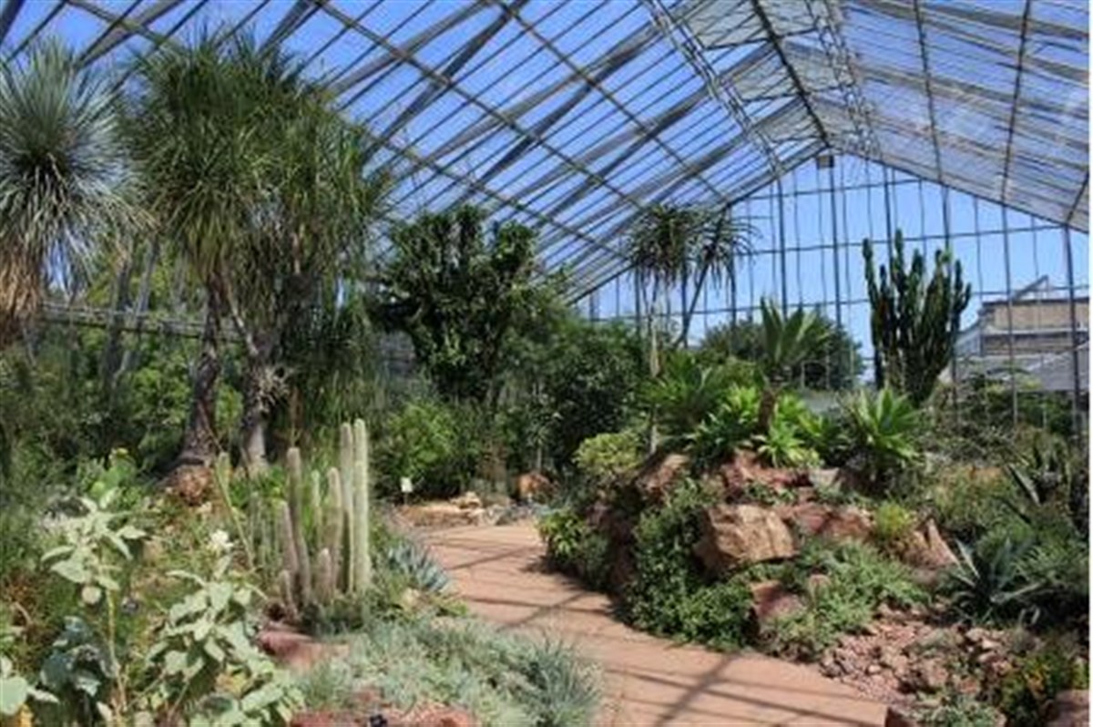 The Temperate Palm House Images courtesy of Royal Botanic Garden Edinburgh