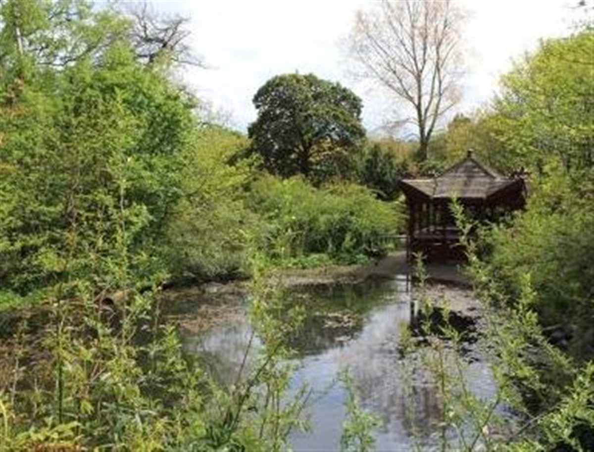 The Ting in the Chinese Hillside Images courtesy of Royal Botanic Garden Edinburgh