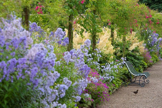 Herbaceous Border