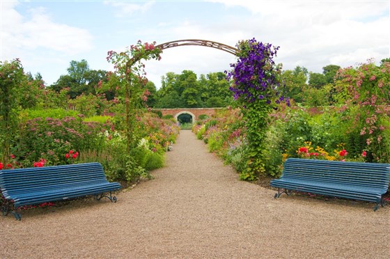 Walled Garden - summer border