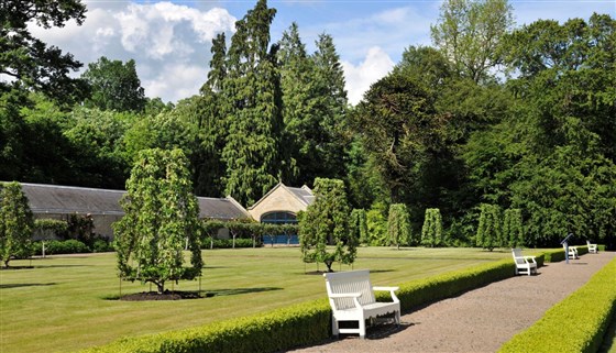 Apple Trees in the Millenium Garden