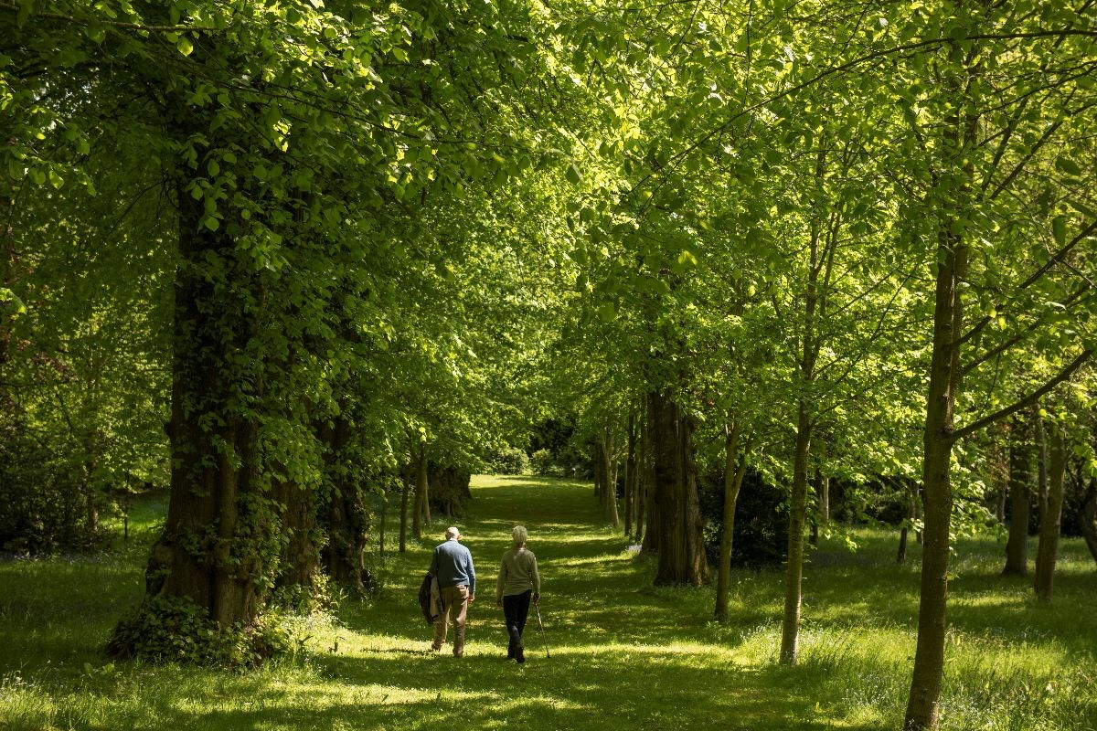 Woodland Walk