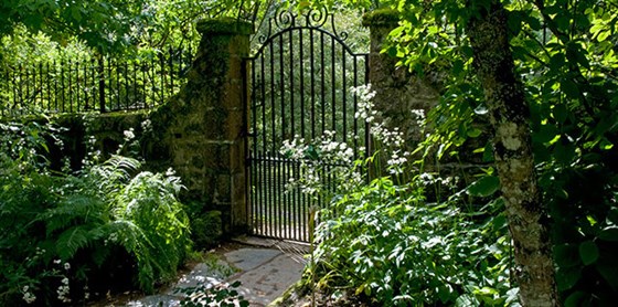 The Walled Garden Crathes Castle <span style='font-size:8px;'>® Der National Trust für Schottland</span>