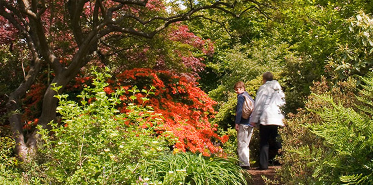 Branklyn Garden, Perth