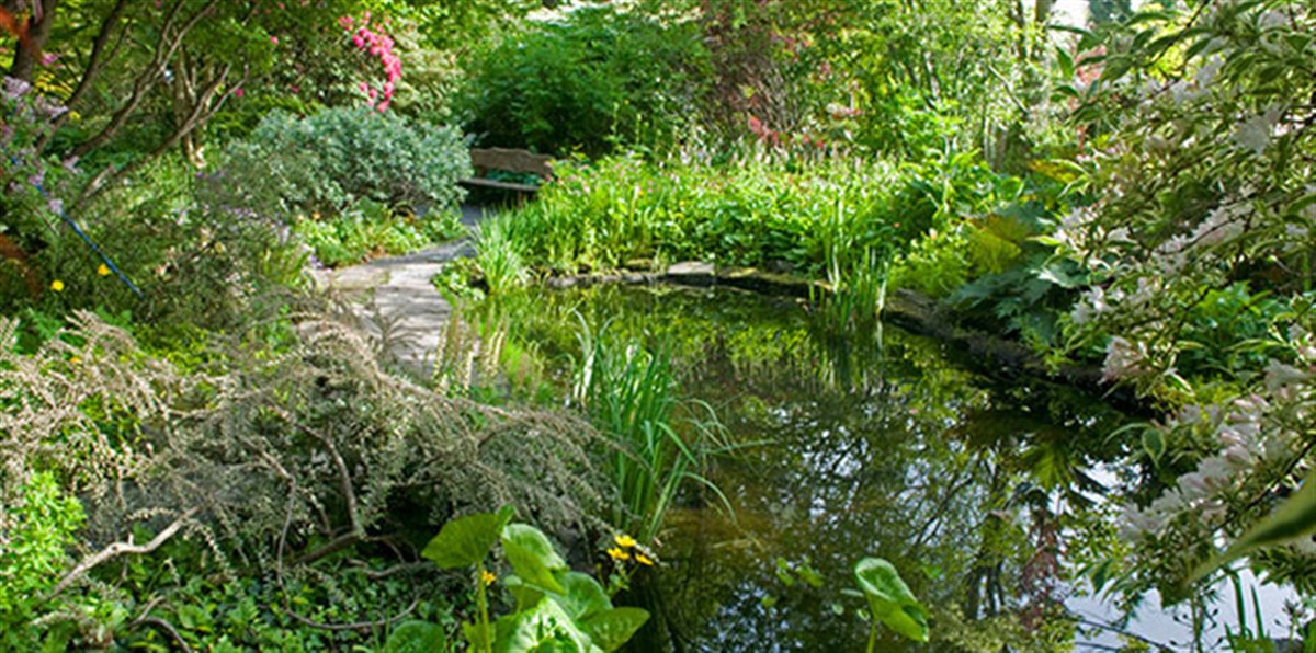 Branklyn Garden, Perth