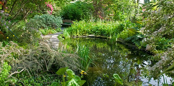 Branklyn Garden, Perth