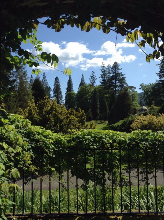 Looking out from the Courtyard Gallery.  <span style='font-size:8px;'> Image courtesy  of Benmore Botanic Garden </span>