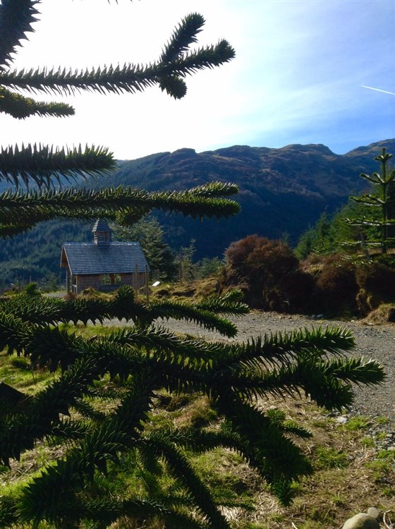  The Chilean Viewpoint Refuge  <span style='font-size:8px;'> Image courtesy  of Benmore Botanic Garden </span>