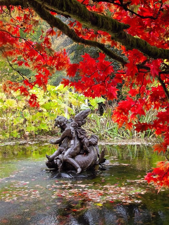 Pond, Benmore Botanic Garden  <span style='font-size:8px;'> Image courtesy  of Benmore Botanic Garden </span>