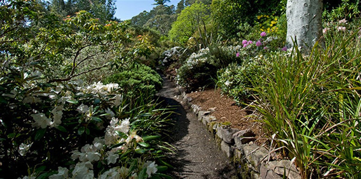Inverewe Garden & Estate <span style='font-size:8px;'> ® The National Trust for Scotland </span>