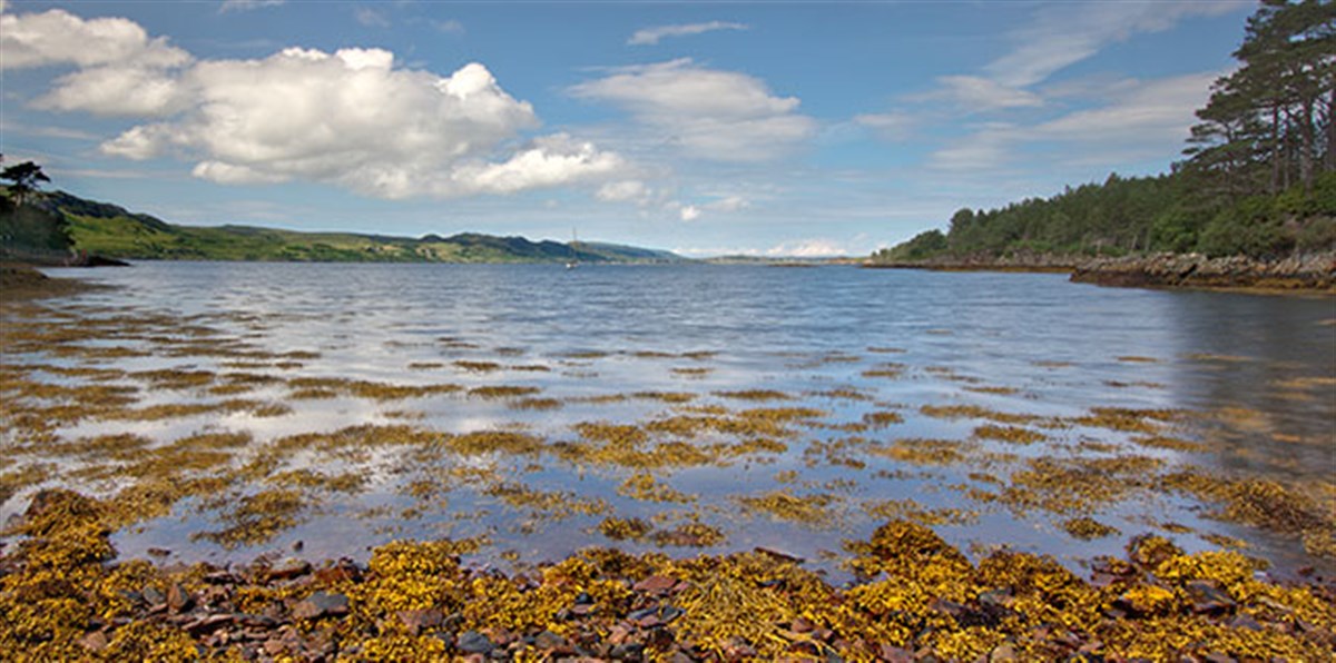 Inverewe Garden & Estate <span style='font-size:8px;'> ® The National Trust for Scotland </span>