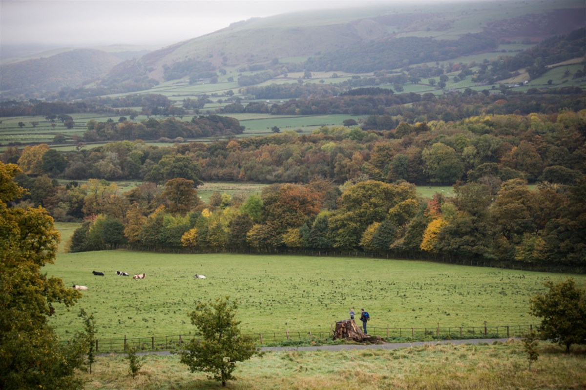 Visitors walking in parkland at Penrhyn Castle, North Wales <span style='font-size:8px;'>®National Trust Images/Rob Stothard</span>