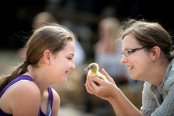 Have a close encounter with our animals in our timed actvity sessions