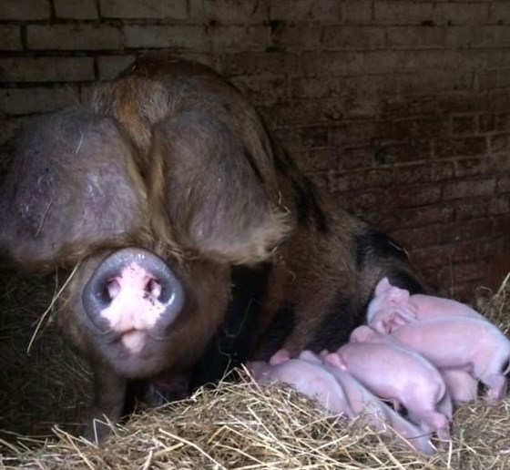 Meet the latest new arrivals 