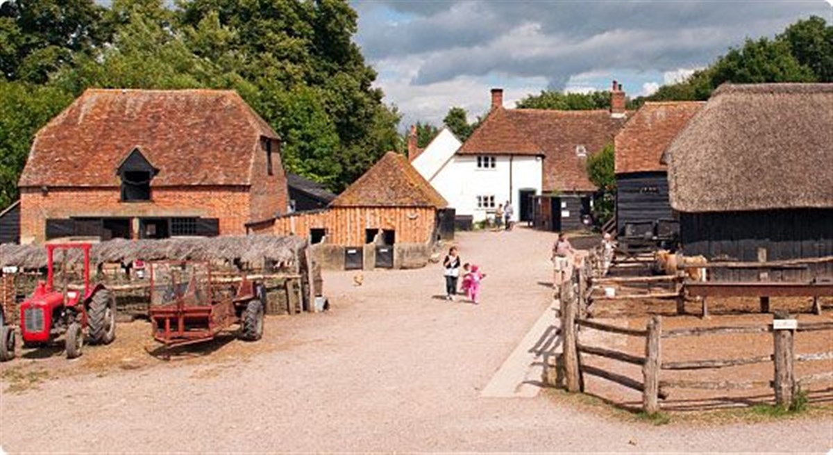 Explore our beautiful farm