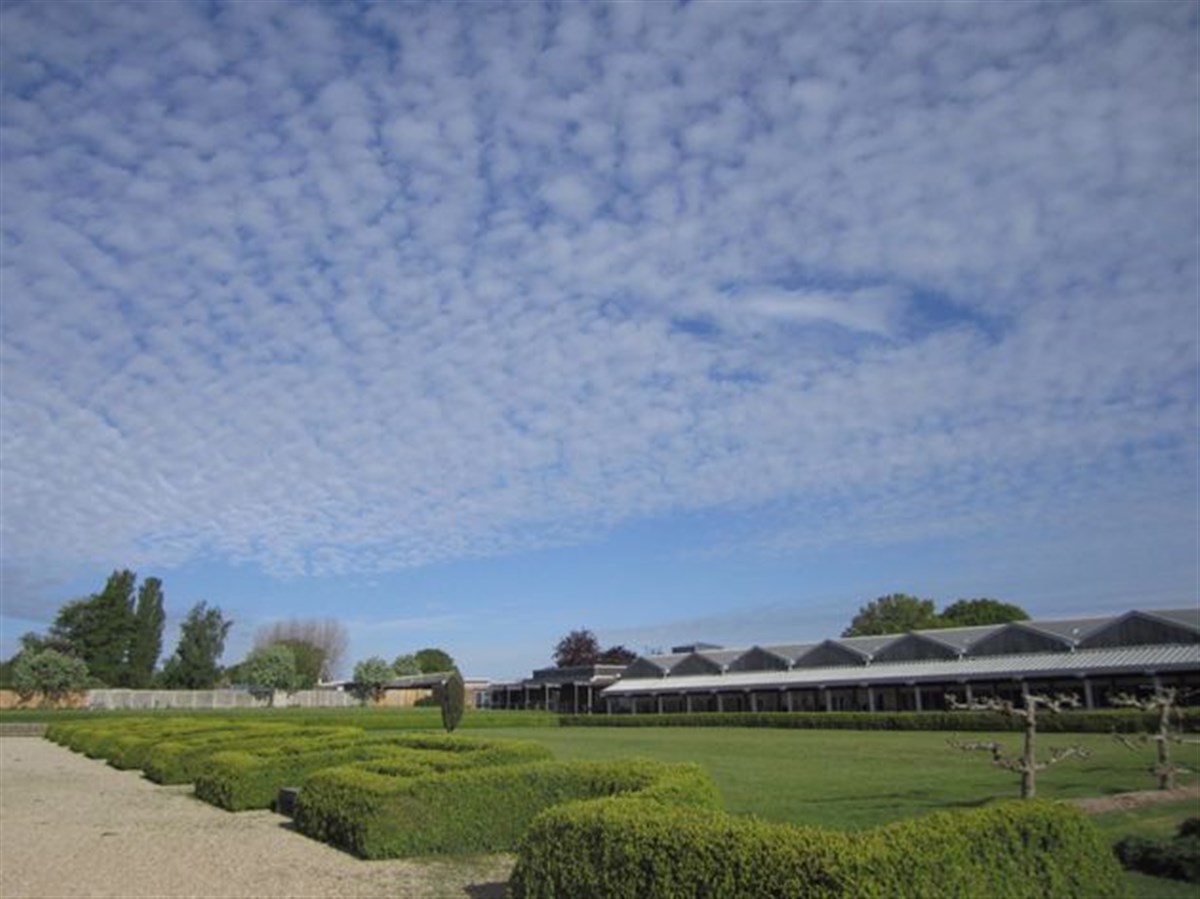 Fishbourne Roman Palace outside <span style='font-size:8px;'> accredited to Fishbourne Roman Palace </span>
