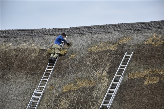 Thatching repair work on the roof of the Alexander Keiller Museum at Avebury, Wiltshire ©National Trust Images/Abby George