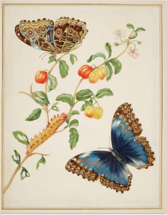 The Queen┤s Gallery <span style='font-size:8px;'>® Her Majesty Queen Elizabeth II 2017/ Royal Collection Trust </span>