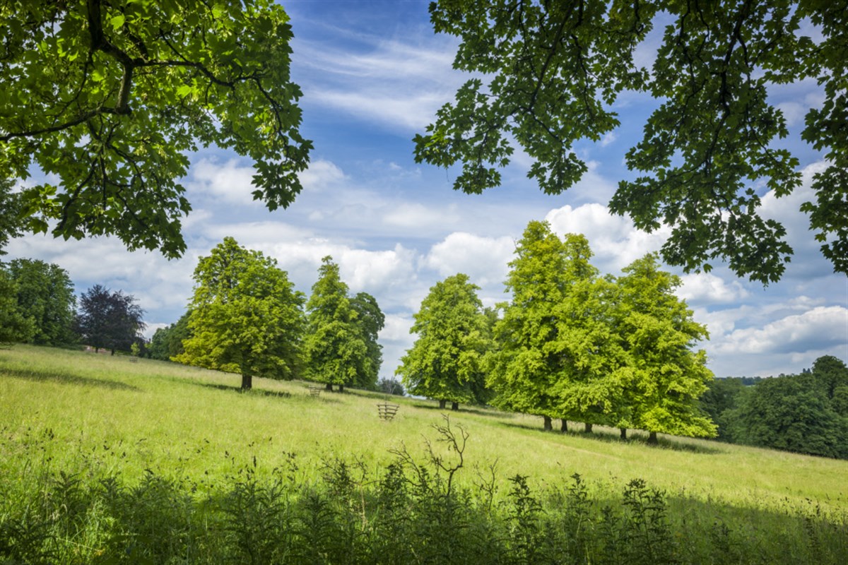 Hughenden, Buckinghamshire <span style='font-size:8px;'>®National Trust Images/Andrew Butler</span>