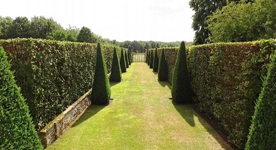Corridor to the Pineapple Gate
