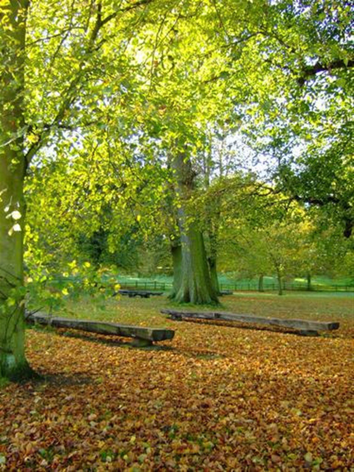Picnic Area