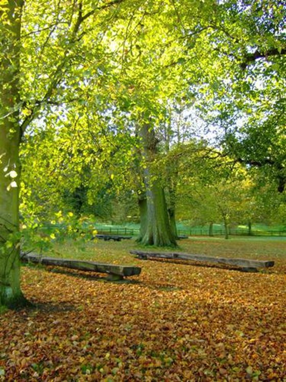 Picnic Area