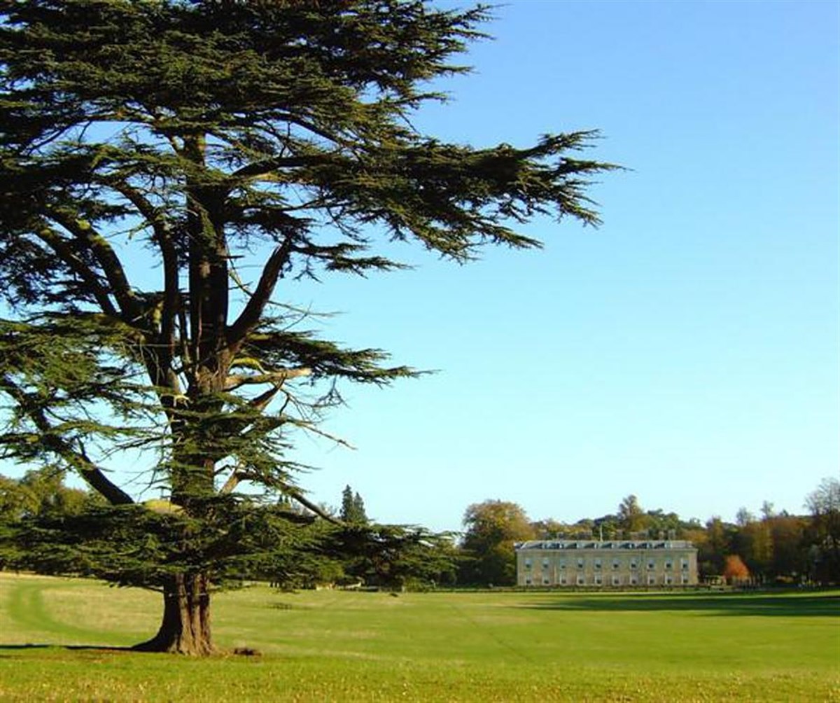 Althorp House and Deer Park